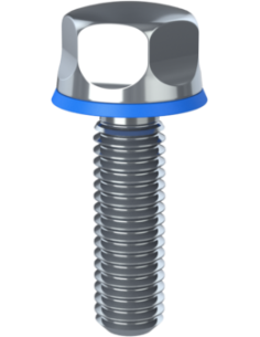 Hygienic fastener BXH M6 x 20 x 20, AISI 316, Blue EPDM