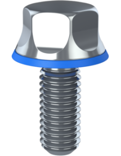 Hygienic fastener BXH M5 x 12 x 12, AISI 316, Blue EPDM