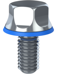 Hygienic fastener BXH M5 x 10 x 10, AISI 316, Blue EPDM