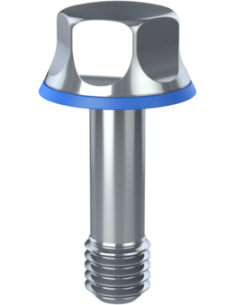 Hygienic fastener BRXH M5 x 16 x 5, AISI 316, Blue NBR