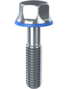 Hygienic fastener BRXH M5 x 20 x 14, AISI 316, Blue NBR