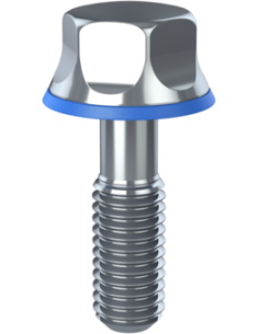 Hygienic fastener BRXH M5 x 16 x 11, AISI 316, Blue NBR