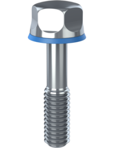 Hygienic fastener BRXH M6 x 25 x 14, AISI 316, Blue NBR