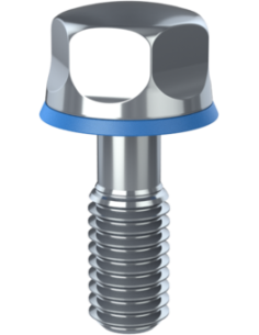 Hygienic fastener BRXH M6 x 16 x 11, AISI 316, Blue NBR