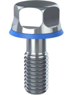 Hygienic fastener BRXH M8 x 20 x 14, AISI 316, Blue NBR