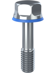 Hygienic fastener BRXH M8 x 30 x 14, AISI 316, Blue NBR