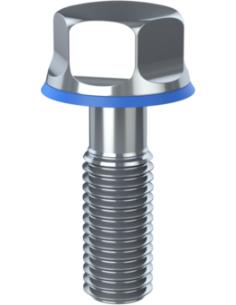 Hygienic fastener BRXH M10 x 30 x 22, AISI 316, Blue NBR