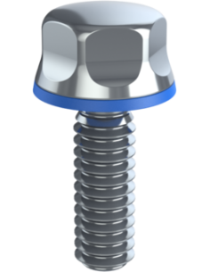 Hygienic fastener BXH UNC 1/4 x 0,75 x 0,75, AISI 316, Blue Silicone