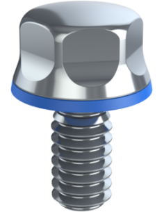 Hygienic fastener BXH UNC 1/4 x 0,50 x 0,50, AISI 316, Blue Silicone