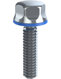 Hygienic fastener BXH UNC 1/4 x 1 x 1, AISI 316, Blue Silicone