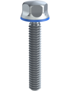Hygienic fastener BXH UNC 1/4 x 1,50 x 1,50, AISI 316, Blue Silicone