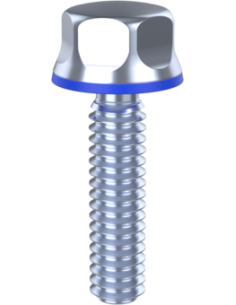 Hygienic fastener BXH UNC 1/4 x 1 x 1, AISI 316, Blue EPDM