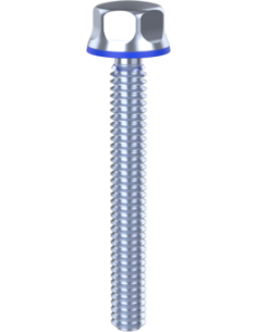Hygienic fastener BXH UNC 1/4 x 2 x 2, AISI 316, Blue EPDM