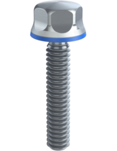 Hygienic fastener BXH UNC 1/4 x 1,25 x 1,25, AISI 316, Blue Silicone