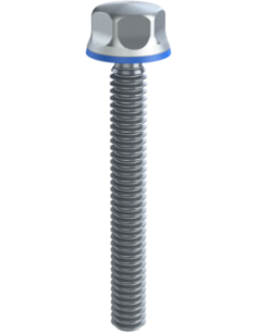 Hygienic fastener BXH UNC 1/4 x 2 x 2, AISI 316, Blue Silicone
