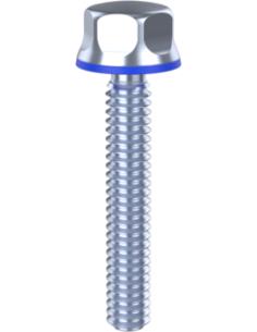 Hygienic fastener BXH UNC 1/4 x 1,50 x 1,50, AISI 316, Blue EPDM