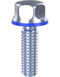 Hygienic fastener BXH UNC 5/16 x 1 x 1, AISI 316, Blue EPDM