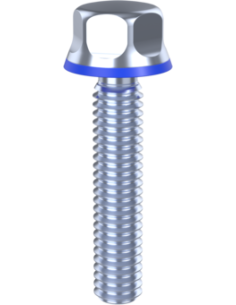 Hygienic fastener BXH UNC 5/16 x 1,50 x 1,50, AISI 316, Blue EPDM