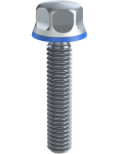 Hygienic fastener BXH UNC 5/16 x 1,50 x 1,50, AISI 316, Blue Silicone