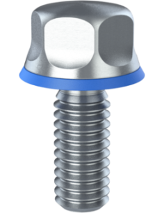 Hygienic fastener BXH UNC 5/16 x 0,75 x 0,75, AISI 316, Blue NBR