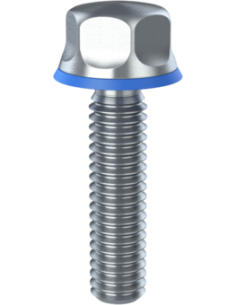 Hygienic fastener BXH UNC 5/16 x 1,25 x 1,25, AISI 316, Blue NBR