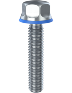 Hygienic fastener BXH UNC 5/16 x 1,50 x 1,50, AISI 316, Blue NBR