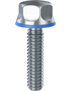 Hygienic fastener BXH UNC 1/4 x 1 x 1, AISI 316, Blue NBR