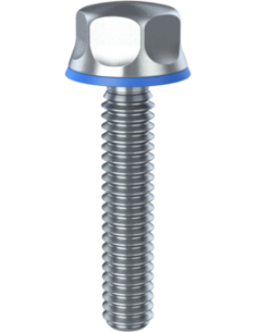 Hygienic fastener BXH UNC 1/4 x 1,25 x 1,25, AISI 316, Blue NBR