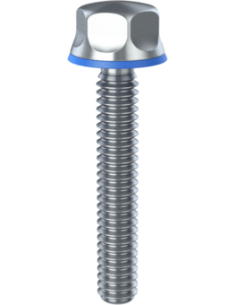 Hygienic fastener BXH UNC 1/4 x 1,50 x 1,50, AISI 316, Blue NBR