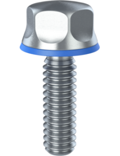 Hygienic fastener BXH UNC 1/4 x 0,81 x 0,81, AISI 316, Blue NBR