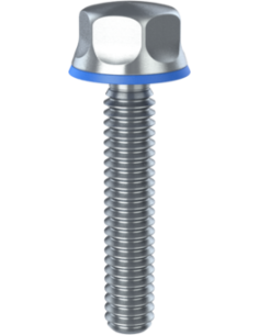 Hygienic fastener BXH UNC 1/4 x 1,31 x 1,31, AISI 316, Blue NBR