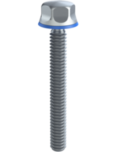 Hygienic fastener BXH UNC 1/4 x 2 x 2, AISI 316, Blue NBR