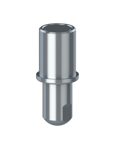 Tank support bolts SBX(r24)BSPP
