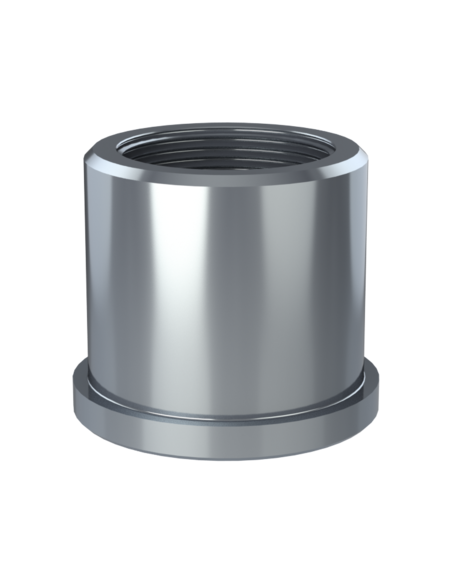 Threaded insert TIRC Ø69x8, 62x52, BSPP 1 1/2-11, 40, AISI 304