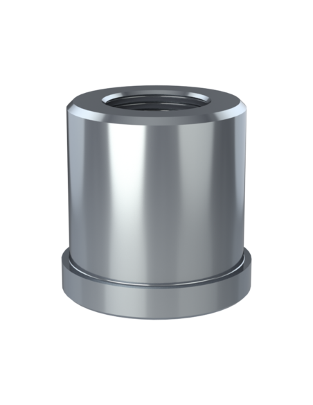 Threaded insert TIRC Ø60x10, 55x50, BSPP 1-11, 25, AISI 304