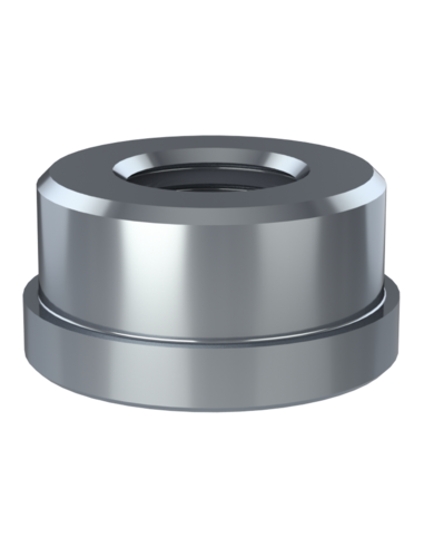 Threaded insert TIR Ø59x10, 54x19.50, M30, AISI 304