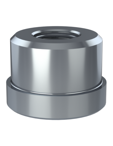 Threaded insert TIR Ø42x10, 38x20, M20, AISI 304