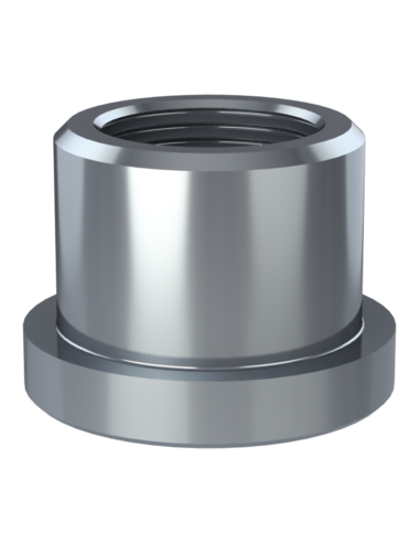 Threaded insert TIR Ø55x10, 45x30, BSPP 1-11, AISI 304