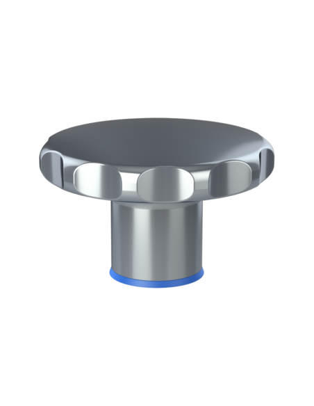 Knob XKG(50) , AISI 304, Blue NBR