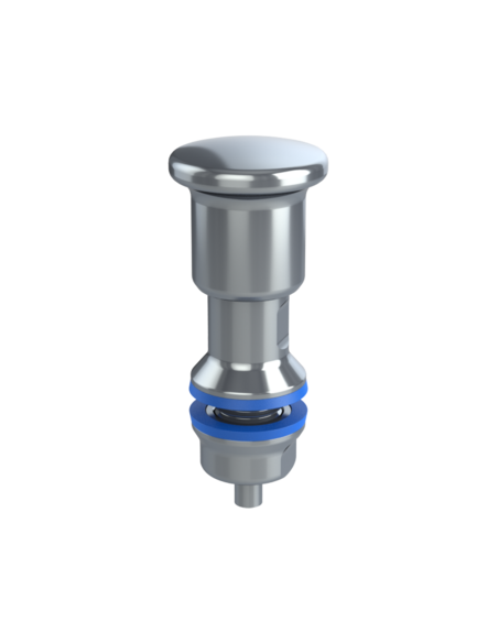 Plunger IPXH6, with lock, AISI 316, Blue NBR