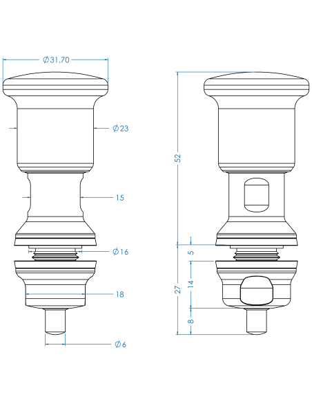 Plunger IPXH6, with lock, AISI 316, Blue NBR