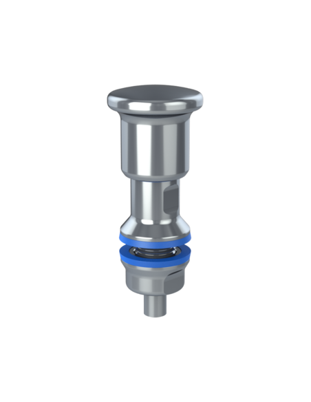 Plunger IPXH8, with lock, AISI 316, Blue NBR